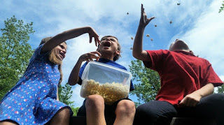 Plataforma que ajuda famílias a encontrar serviços e atividades culturais
